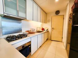 The Cathay Residence (D9), Apartment #480874501